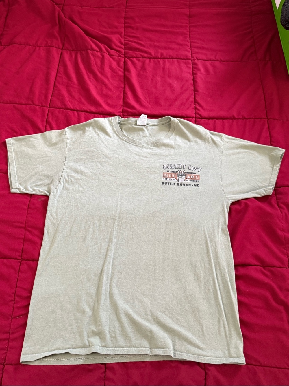 Fruit of the Loom Light Green Short Sleeve Graphic Tee